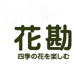 Ԋ@lG̉Ԃyށ@flowershop hanakan
